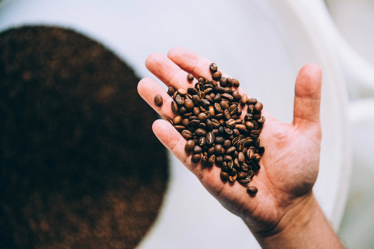 Brew-itCafe Premium Coffee & Tea Best Sellers UK