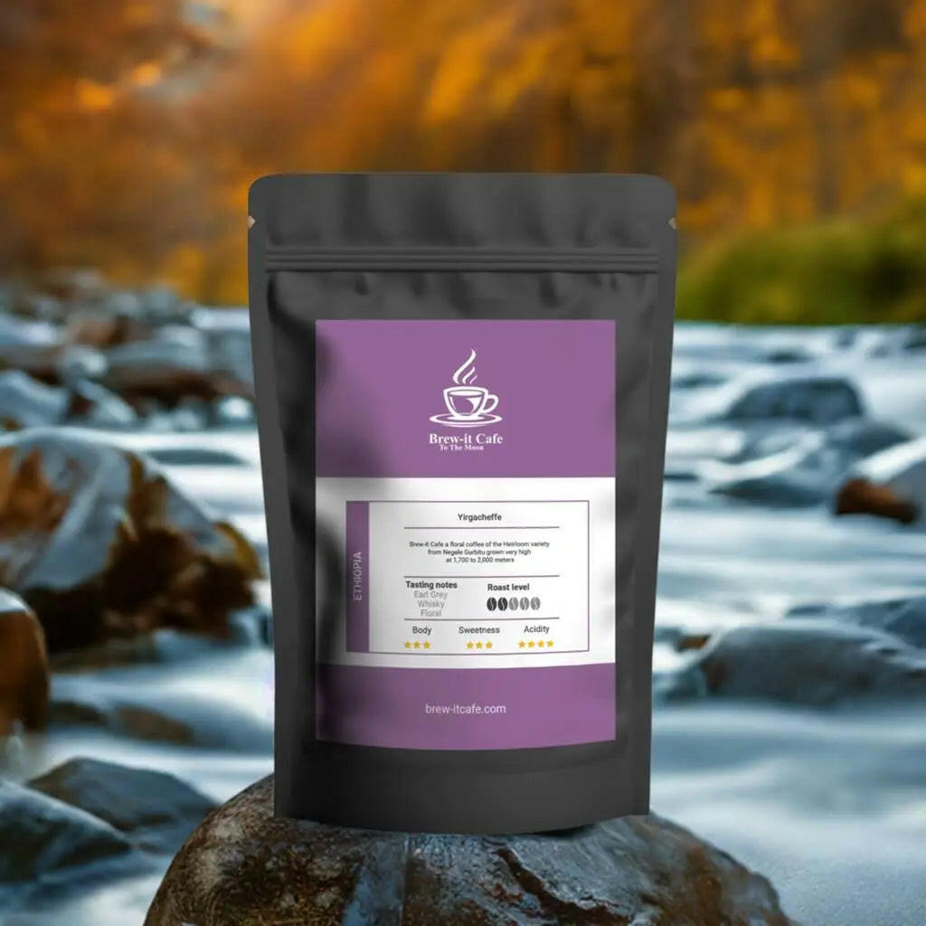 Brew-itCafe single-origin coffee bag with purple label placed on rock near flowing river and autumn background